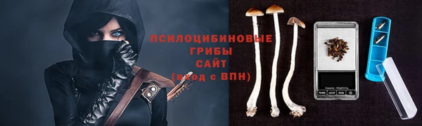 PSILOCYBIN Пересвет