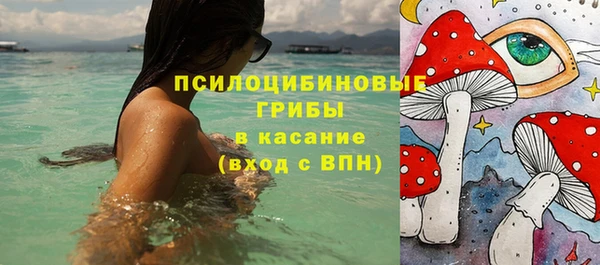 прущая мука Алзамай