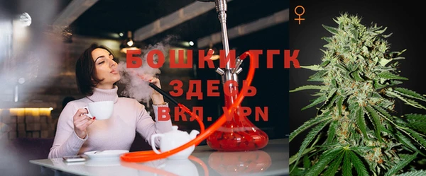 прущая мука Алзамай