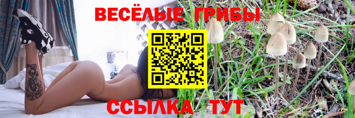 Псилоцибиновые грибы мицелий  Псилоцибиновые грибы прущие грибы  Вход с VPN  Коркино 