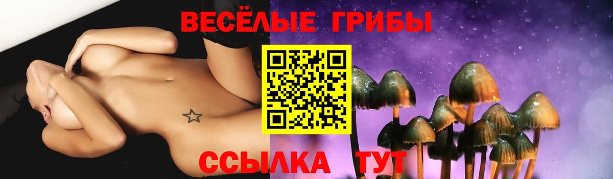 Галлюциногенные грибы Psilocybine cubensis Коркино